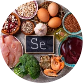 Astragalus Root Extract